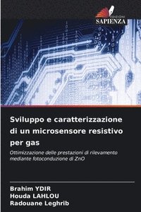 bokomslag Sviluppo e caratterizzazione di un microsensore resistivo per gas