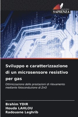 bokomslag Sviluppo e caratterizzazione di un microsensore resistivo per gas