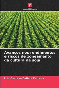bokomslag Batista Ferreira, L: Avanços nos rendimentos e riscos de zon