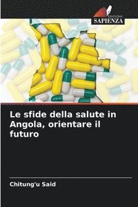 bokomslag Le sfide della salute in Angola, orientare il futuro