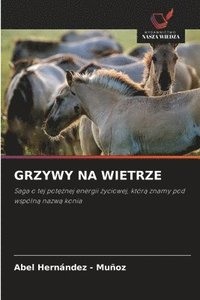 bokomslag Grzywy Na Wietrze