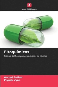 bokomslag Fitoquímicos