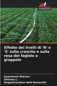 bokomslag Effetto dei livelli di 'N' e 'S' sulla crescita e sulla resa del fagiolo a grappolo
