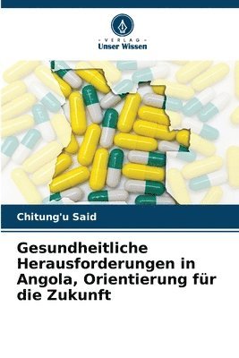 bokomslag Gesundheitliche Herausforderungen in Angola, Orientierung für die Zukunft
