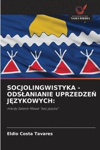 bokomslag Socjolingwistyka - Odslanianie Uprzedze? J?zykowych