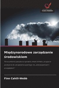 bokomslag Mi?dzynarodowe zarz?dzanie ?rodowiskiem