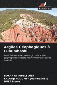 bokomslag Argiles Géophagiques à Lubumbashi