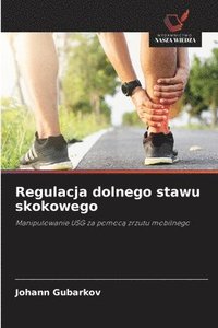 bokomslag Regulacja dolnego stawu skokowego