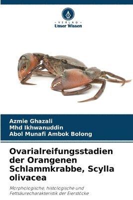 bokomslag Ovarialreifungsstadien der Orangenen Schlammkrabbe, Scylla olivacea