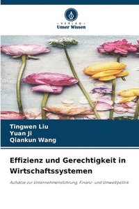 bokomslag Effizienz und Gerechtigkeit in Wirtschaftssystemen