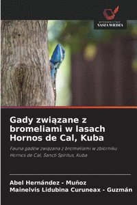 bokomslag Gady zwi¿zane z bromeliami w lasach Hornos de Cal, Kuba