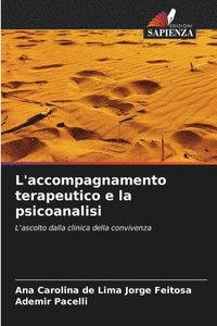 bokomslag L'accompagnamento terapeutico e la psicoanalisi