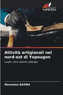 Mamadou Bamba, Mamadou BAMBA - Attività artigianali nel nord-est di Yopougon, Häftad