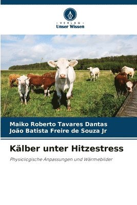 bokomslag Kälber unter Hitzestress
