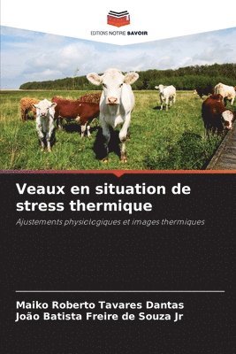 Maiko Roberto Tavares Dantas, João Batista Freire de Souza Jr, Jr. Souza, João Batista Freire de - Veaux en situation de stress thermique, Häftad
