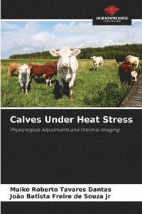 bokomslag Calves Under Heat Stress