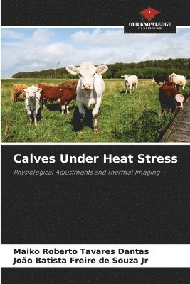 bokomslag Calves Under Heat Stress