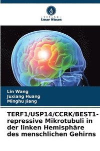 bokomslag TERF1/USP14/CCRK/BEST1-repressive Mikrotubuli in der linken Hemisphäre des menschlichen Gehirns