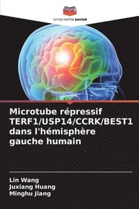 bokomslag Microtube répressif TERF1/USP14/CCRK/BEST1 dans l'hémisphère gauche humain