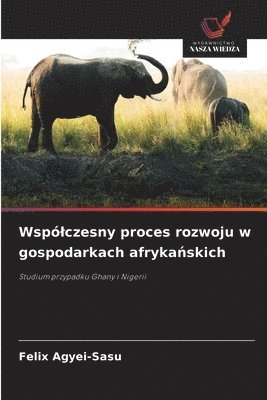 bokomslag Wspólczesny proces rozwoju w gospodarkach afryka?skich