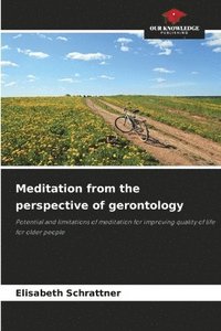 bokomslag Meditation from the perspective of gerontology