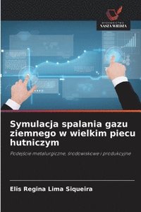 bokomslag Symulacja spalania gazu ziemnego w wielkim piecu hutniczym