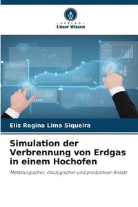 bokomslag Simulation der Verbrennung von Erdgas in einem Hochofen