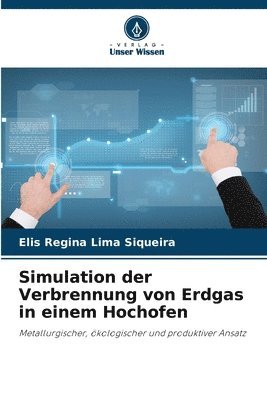 bokomslag Simulation der Verbrennung von Erdgas in einem Hochofen