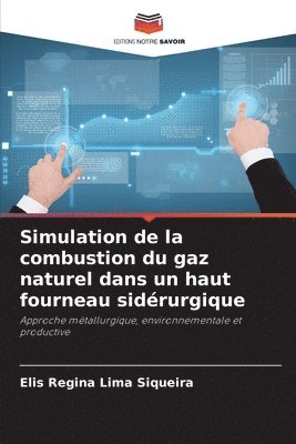 bokomslag Simulation de la combustion du gaz naturel dans un haut fourneau sidérurgique