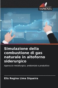 bokomslag Simulazione della combustione di gas naturale in altoforno siderurgico