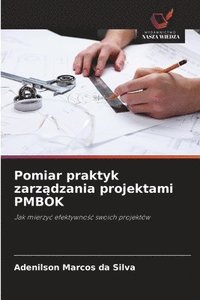 bokomslag Pomiar praktyk zarz?dzania projektami PMBOK