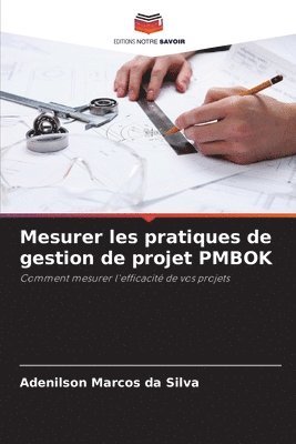 bokomslag Mesurer les pratiques de gestion de projet PMBOK