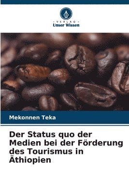bokomslag Der Status quo der Medien bei der Förderung des Tourismus in Äthiopien