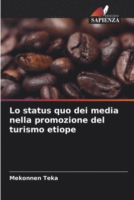 Mekonnen Teka - Lo status quo dei media nella promozione del turismo etiope, Häftad