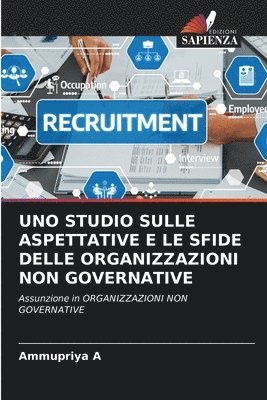 bokomslag Uno Studio Sulle Aspettative E Le Sfide Delle Organizzazioni Non Governative