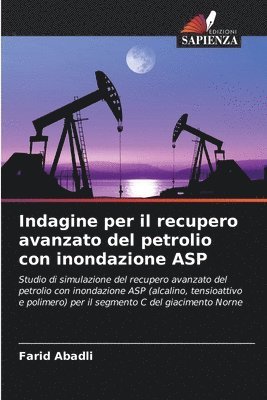 bokomslag Indagine per il recupero avanzato del petrolio con inondazione ASP