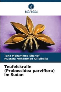 bokomslag Teufelskralle (Proboscidea parviflora) im Sudan