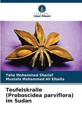 bokomslag Teufelskralle (Proboscidea parviflora) im Sudan
