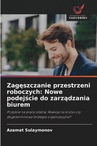 bokomslag Zag?szczanie przestrzeni roboczych