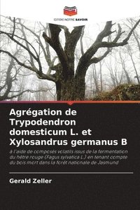 bokomslag Agrégation de Trypodendron domesticum L. et Xylosandrus germanus B