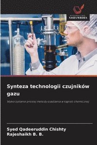 bokomslag Synteza technologii czujników gazu