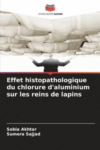 bokomslag Effet histopathologique du chlorure d'aluminium sur les reins de lapins