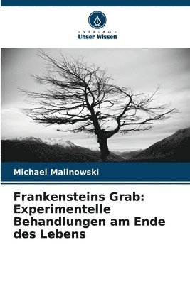 bokomslag Frankensteins Grab: Experimentelle Behandlungen am Ende des Lebens