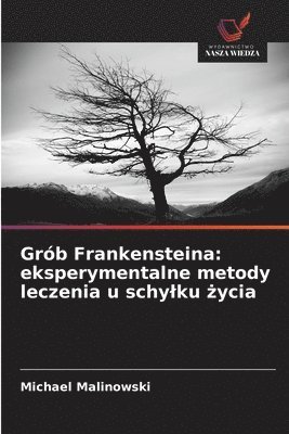 bokomslag Grób Frankensteina: eksperymentalne metody leczenia u schylku ?ycia