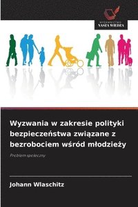bokomslag Wyzwania w zakresie polityki bezpiecze?stwa zwi?zane z bezrobociem w?ród mlodzie?y