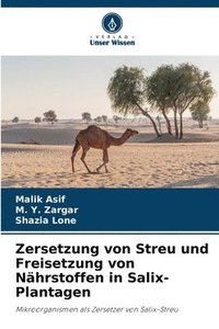bokomslag Zersetzung von Streu und Freisetzung von Nährstoffen in Salix-Plantagen