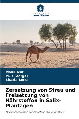 Malik Asif, M y Zargar, Shazia Lone - Zersetzung von Streu und Freisetzung von Nährstoffen in Salix-Plantagen, Häftad