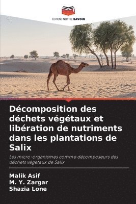 Malik Asif, M y Zargar, Shazia Lone - Décomposition des déchets végétaux et libération de nutriments dans les plantations de Salix, Häftad