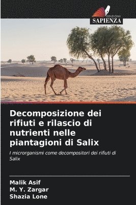 Malik Asif, M y Zargar, Shazia Lone - Decomposizione dei rifiuti e rilascio di nutrienti nelle piantagioni di Salix, Häftad