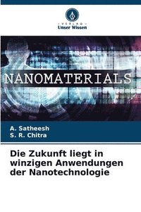 bokomslag Die Zukunft liegt in winzigen Anwendungen der Nanotechnologie